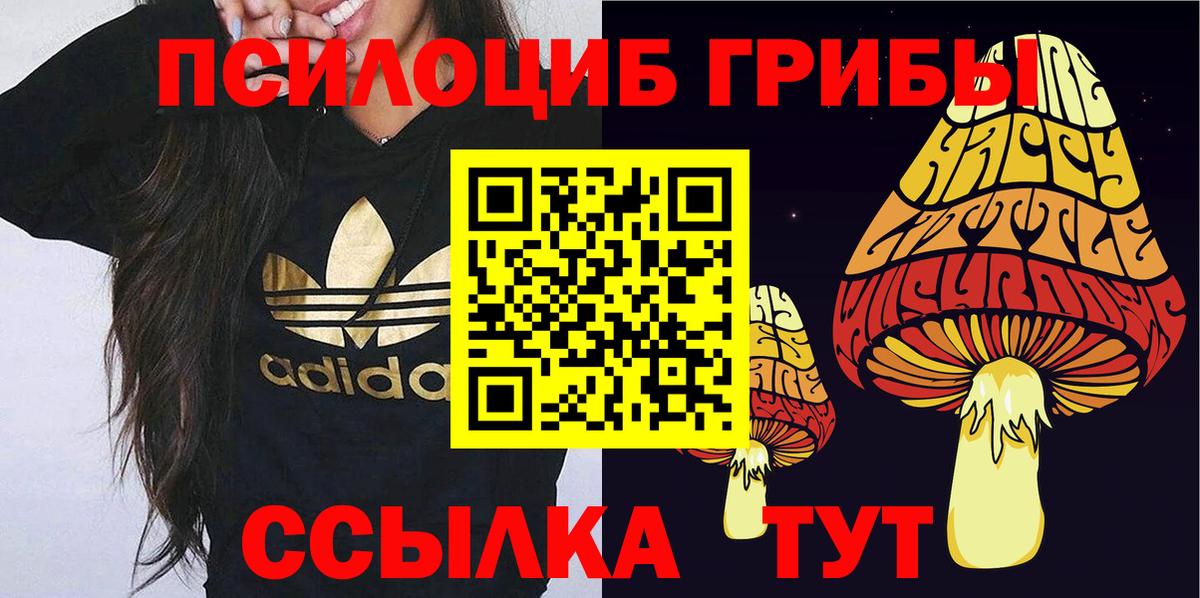 Галлюциногенные грибы ЛСД  Вход с VPN  Гусиноозёрск 